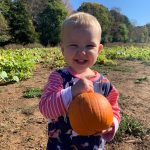 The pumpkin patch field trip